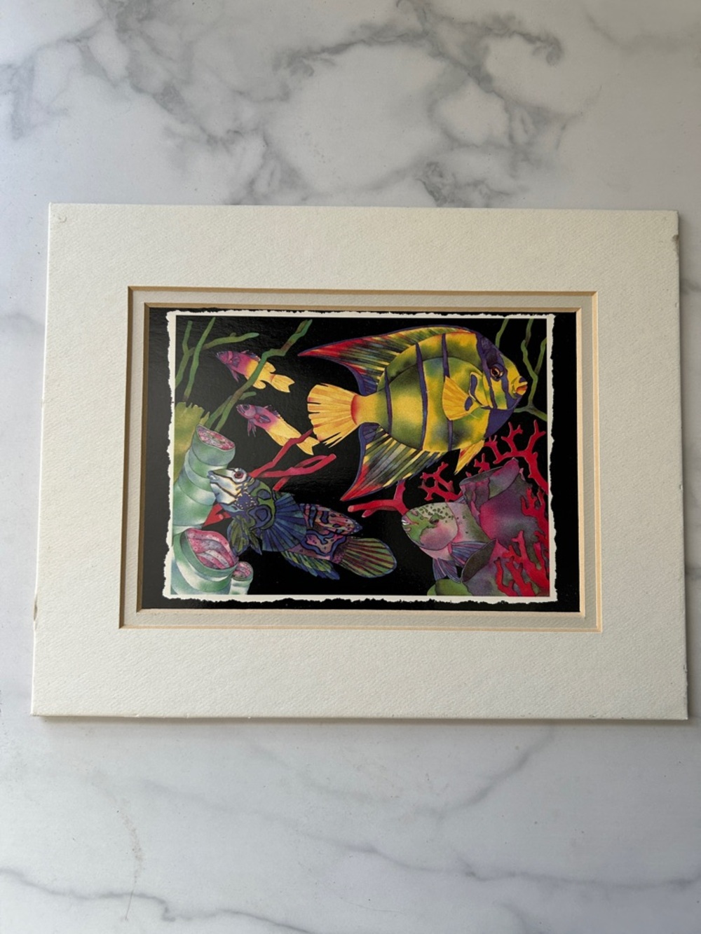 Vibrant Multicolor Tropical Fish Art Lithograph– Framed Wall Art see life